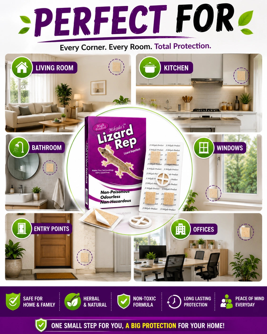 Lizard Repellent | Safe & Odourless for 60 Days Protection