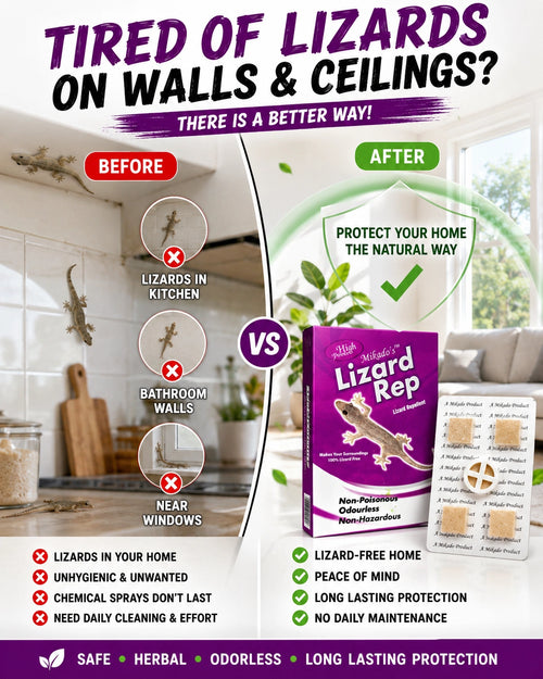 Lizard Repellent | Safe & Odourless for 60 Days Protection